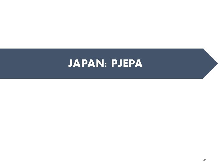 JAPAN: PJEPA 40 