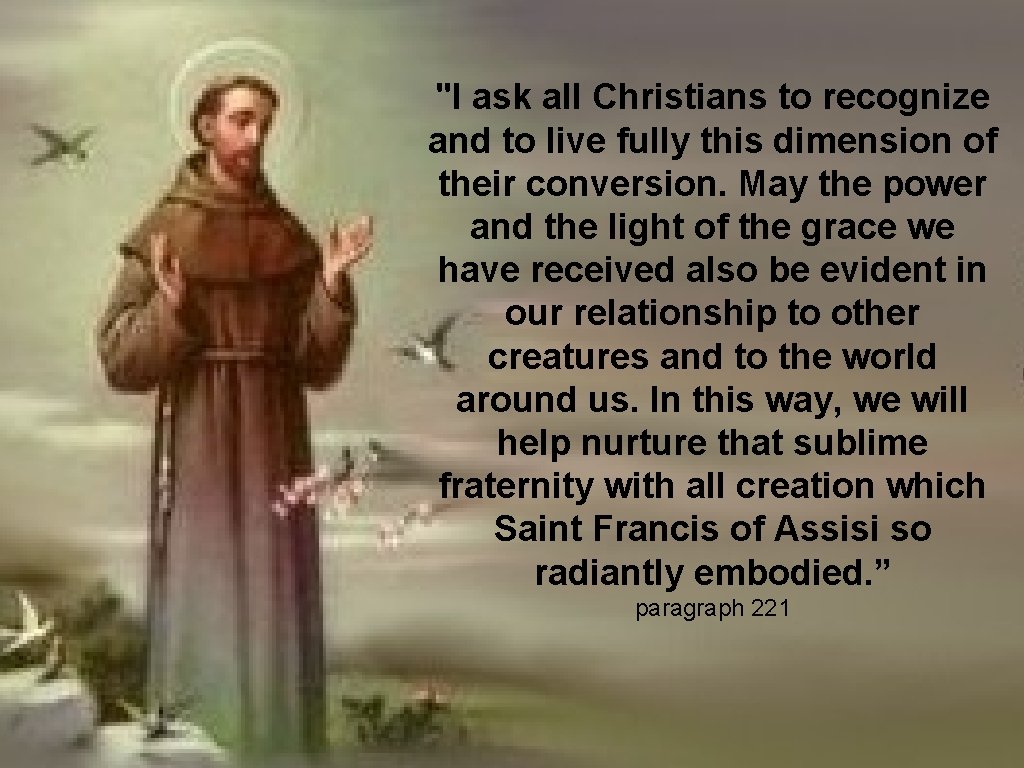 "I ask all Christians to recognize and to live fully this dimension of their