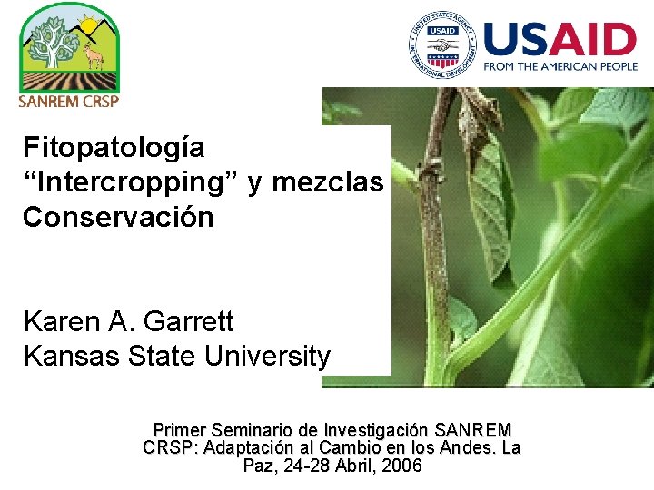 Fitopatología “Intercropping” y mezclas Conservación Karen A. Garrett Kansas State University Primer Seminario de
