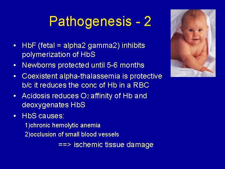 Pathogenesis - 2 • Hb. F (fetal = alpha 2 gamma 2) inhibits polymerization