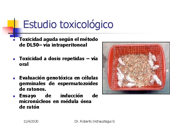 Estudio toxicológico n n Toxicidad aguda según el método de DL 50– vía intraperitoneal Estudio toxicológico n n Toxicidad aguda según el método de DL 50– vía intraperitoneal