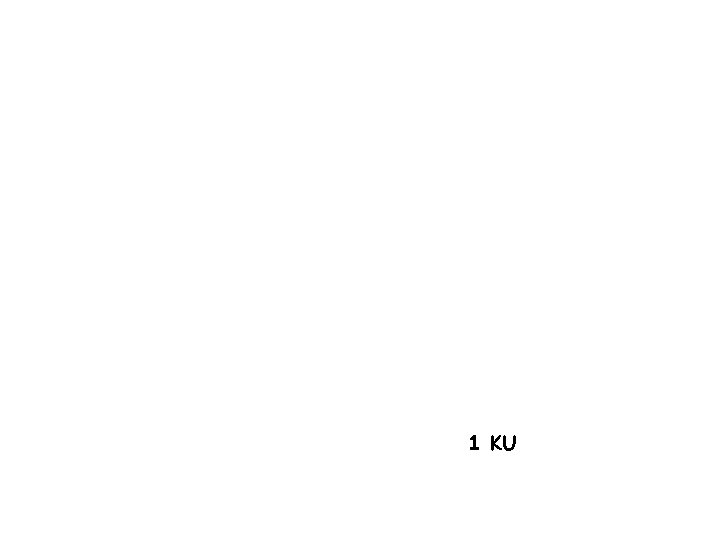 1 KU 
