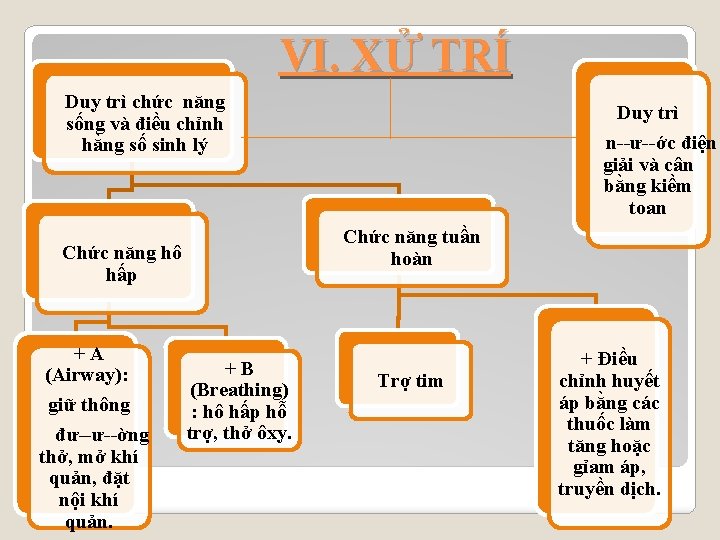 VI. XỬ TRÍ Duy trì chức năng sống và điều chỉnh hằng số sinh