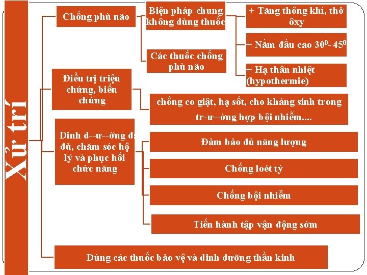 Xử trí Chống phù não Biện pháp chung không dùng thuốc Các thuốc chống