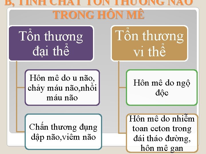 B, TÍNH CHẤT TỔN THƯƠNG NÃO TRONG HÔN MÊ Tổn thương đại thể Tổn