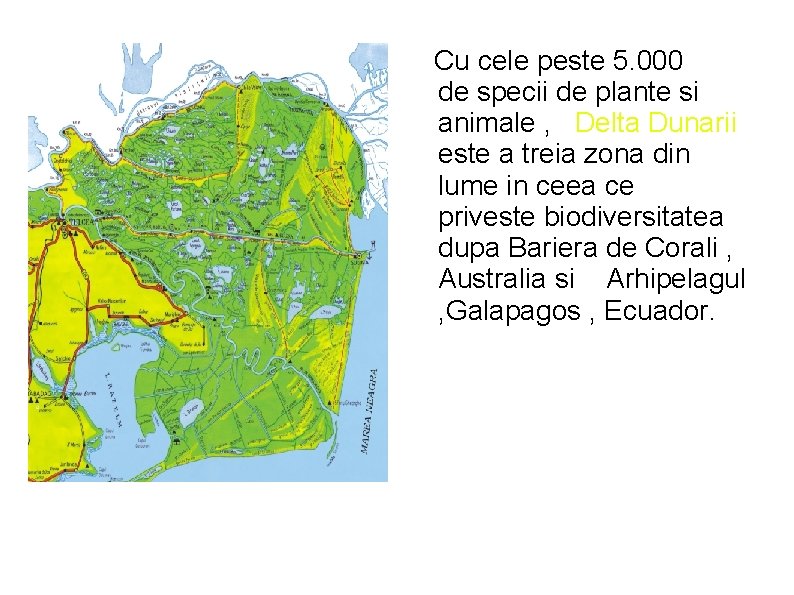 Cu cele peste 5. 000 de specii de plante si animale , Delta Dunarii