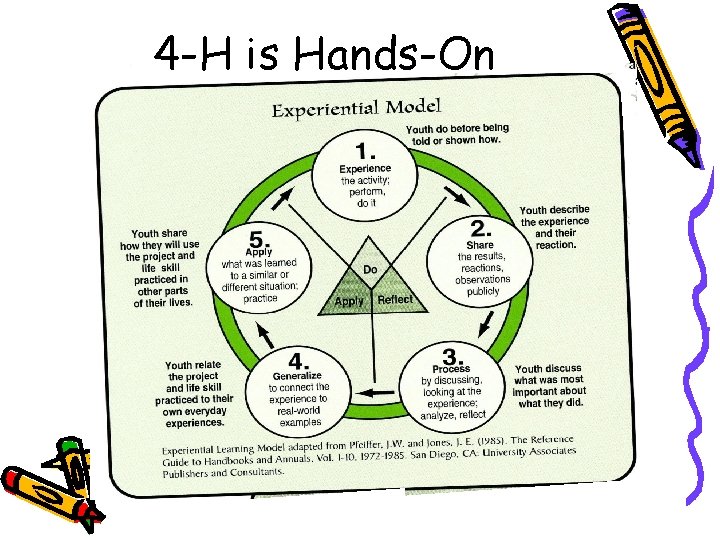 4 -H is Hands-On 