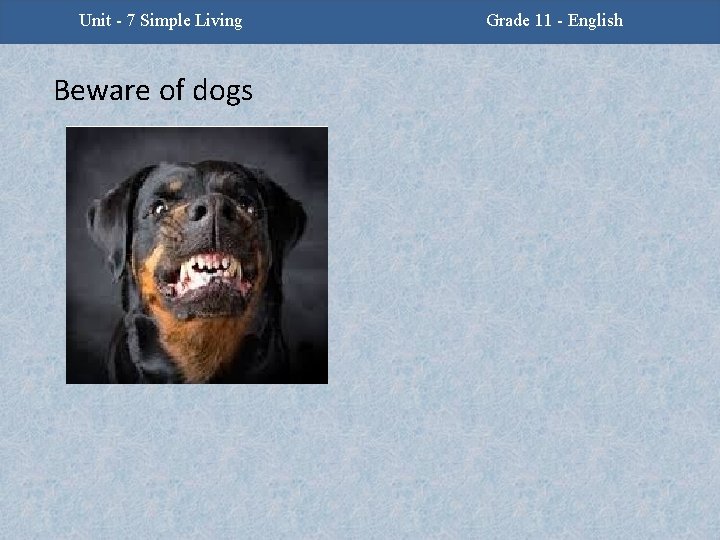 Unit 7 Simple Living Unit -2 - Facing Challenges Beware of dogs Grade 11