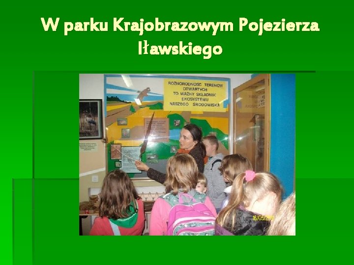 W parku Krajobrazowym Pojezierza Iławskiego 