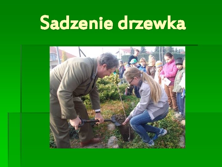 Sadzenie drzewka 