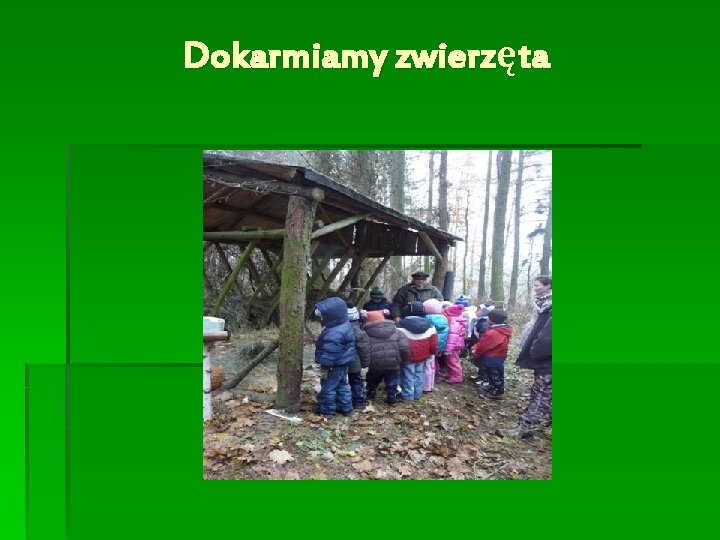 Dokarmiamy zwierzęta 