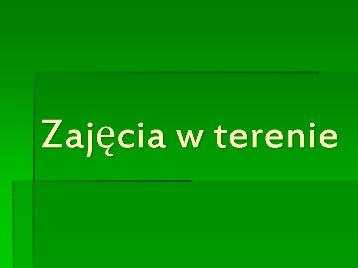 Zajęcia w terenie 