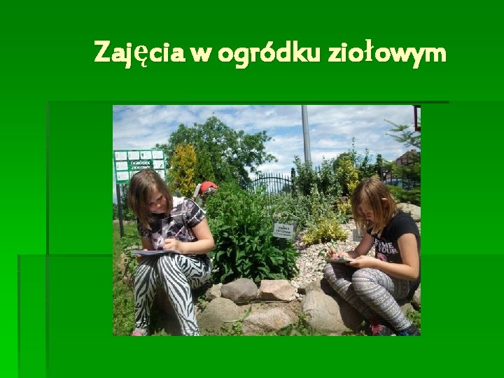 Zajęcia w ogródku ziołowym 