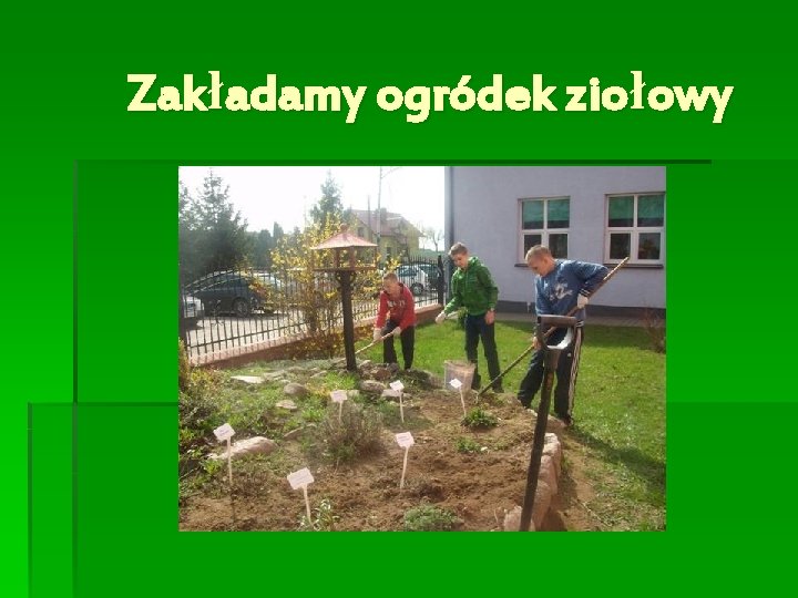 Zakładamy ogródek ziołowy 