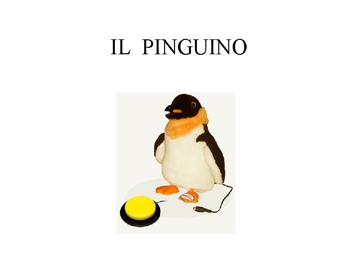 IL PINGUINO 