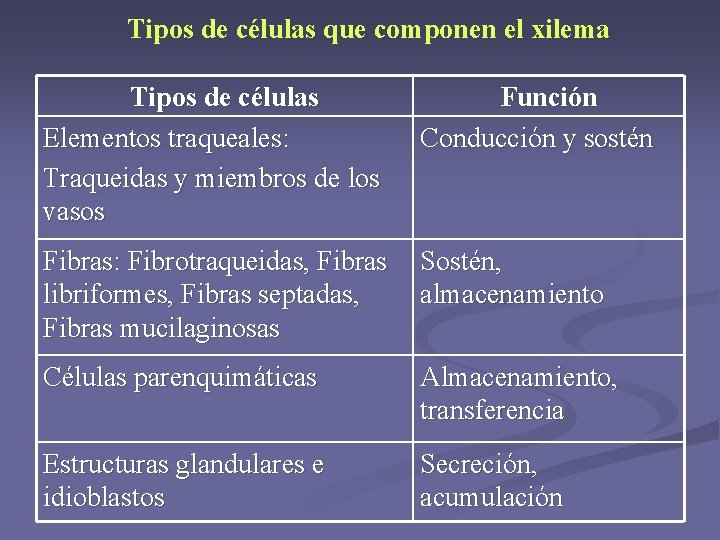 Tipos de células que componen el xilema Tipos de células Elementos traqueales: Traqueidas y Tipos de células que componen el xilema Tipos de células Elementos traqueales: Traqueidas y
