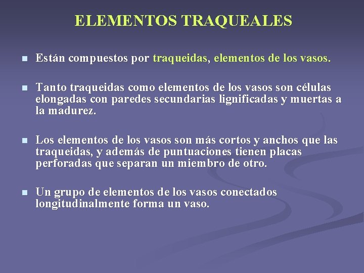 ELEMENTOS TRAQUEALES n Están compuestos por traqueidas, elementos de los vasos. n Tanto traqueidas ELEMENTOS TRAQUEALES n Están compuestos por traqueidas, elementos de los vasos. n Tanto traqueidas