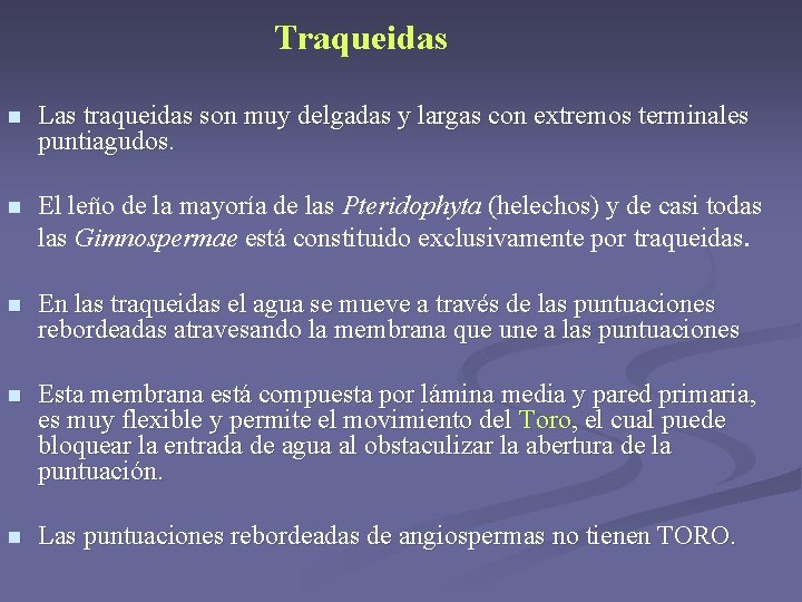 Traqueidas n Las traqueidas son muy delgadas y largas con extremos terminales puntiagudos. n Traqueidas n Las traqueidas son muy delgadas y largas con extremos terminales puntiagudos. n