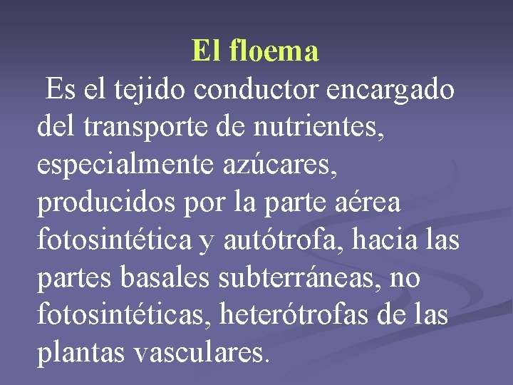 El floema Es el tejido conductor encargado del transporte de nutrientes, especialmente azúcares, producidos El floema Es el tejido conductor encargado del transporte de nutrientes, especialmente azúcares, producidos