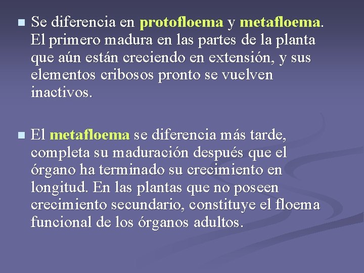 n Se diferencia en protofloema y metafloema. El primero madura en las partes de n Se diferencia en protofloema y metafloema. El primero madura en las partes de