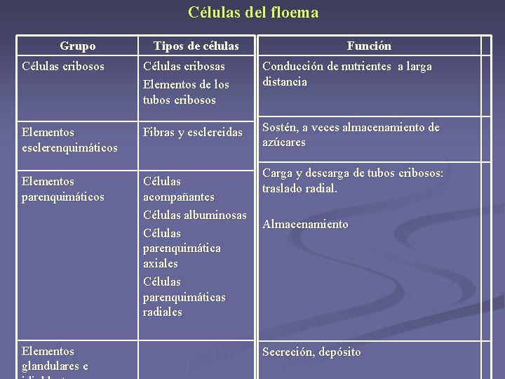 Células del floema Grupo Tipos de células Función Células cribosos Células cribosas Elementos de Células del floema Grupo Tipos de células Función Células cribosos Células cribosas Elementos de