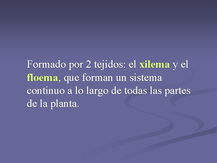 Formado por 2 tejidos: el xilema y el floema, que forman un sistema continuo Formado por 2 tejidos: el xilema y el floema, que forman un sistema continuo