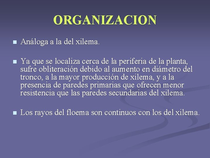 ORGANIZACION n Análoga a la del xilema. n Ya que se localiza cerca de ORGANIZACION n Análoga a la del xilema. n Ya que se localiza cerca de