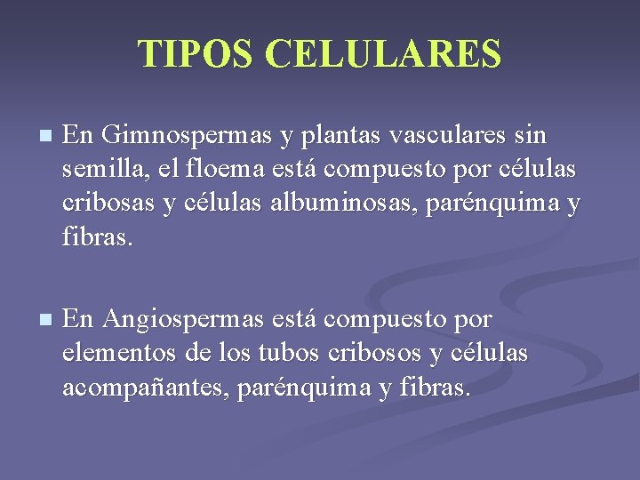 TIPOS CELULARES n En Gimnospermas y plantas vasculares sin semilla, el floema está compuesto TIPOS CELULARES n En Gimnospermas y plantas vasculares sin semilla, el floema está compuesto