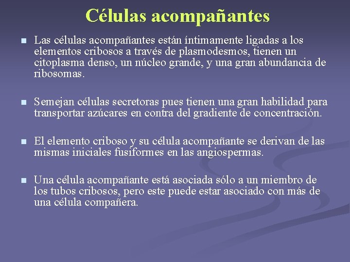 Células acompañantes n Las células acompañantes están íntimamente ligadas a los elementos cribosos a Células acompañantes n Las células acompañantes están íntimamente ligadas a los elementos cribosos a