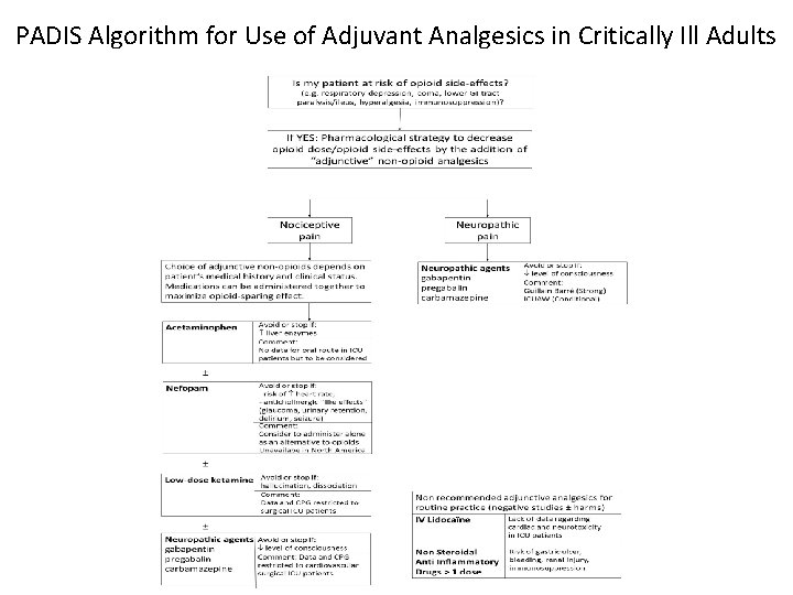 PADIS Algorithm for Use of Adjuvant Analgesics in Critically Ill Adults 