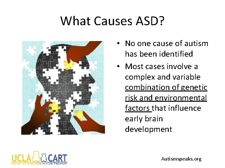 What Causes ASD? • No one cause of autism has been identified • Most