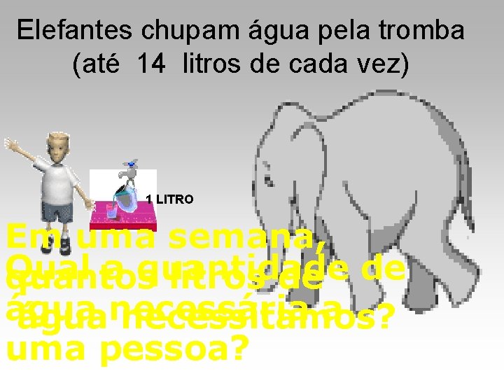 Elefantes chupam água pela tromba (até 14 litros de cada vez) 1 LITRO Em