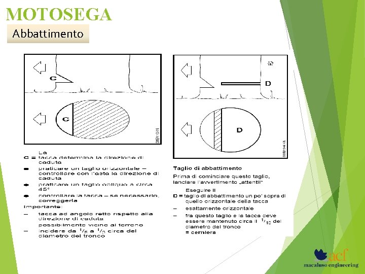 MOTOSEGA Abbattimento 