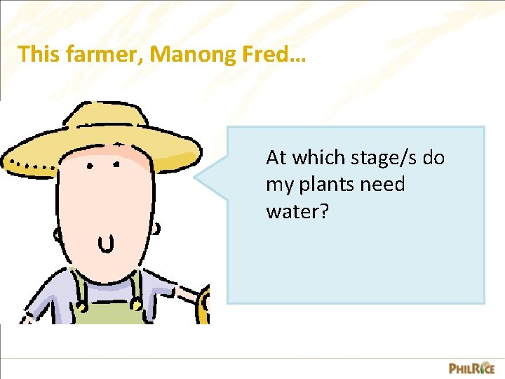 This farmer, Manong Fred… At which stage/s do my plants need water? 
