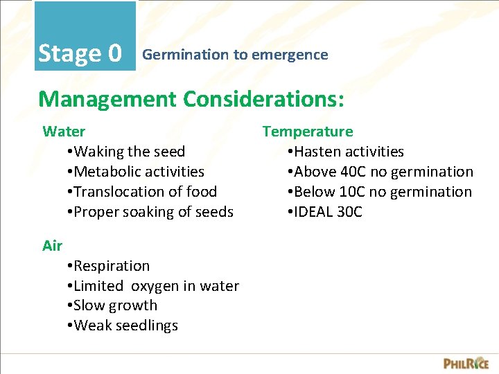 Stage 0 Germination to emergence Management Considerations: Water • Waking the seed • Metabolic