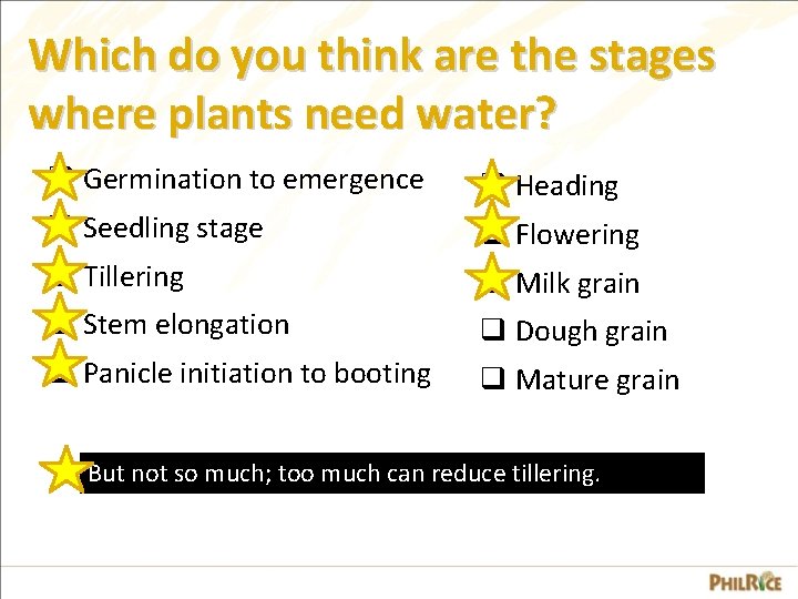 Which do you think are the stages where plants need water? q Germination to