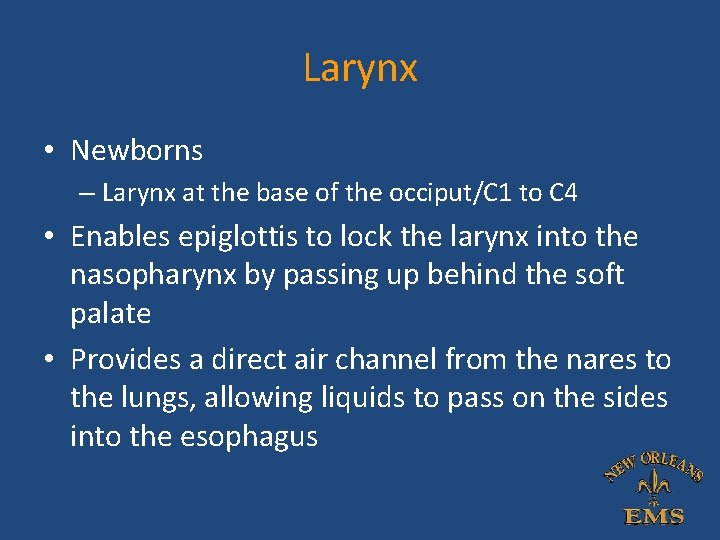 Larynx • Newborns – Larynx at the base of the occiput/C 1 to C Larynx • Newborns – Larynx at the base of the occiput/C 1 to C