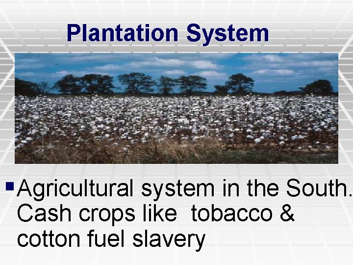Plantation System §Agricultural system in the South. Cash crops like tobacco & cotton fuel