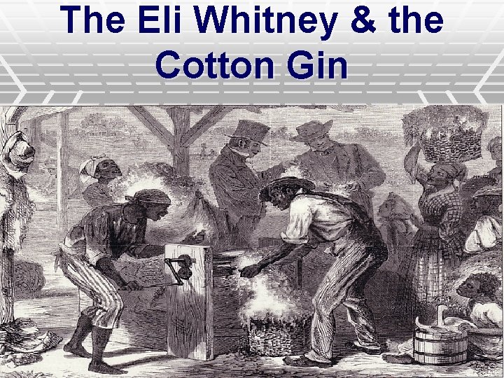 The Eli Whitney & the Cotton Gin 