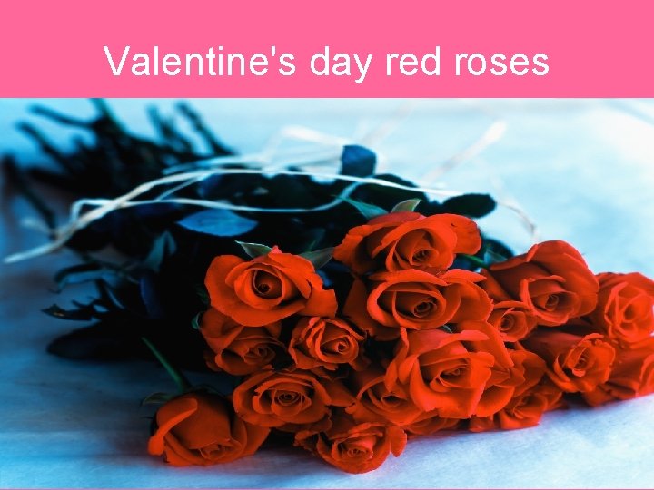 Valentine's day red roses Valentine's day red roses