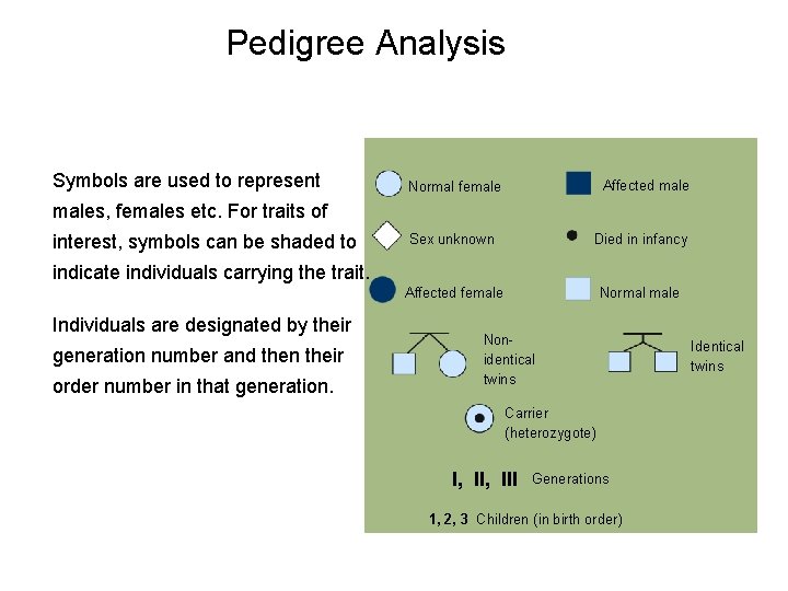 Pedigree Analysis Symbols are used to represent Affected male Normal females, females etc. For