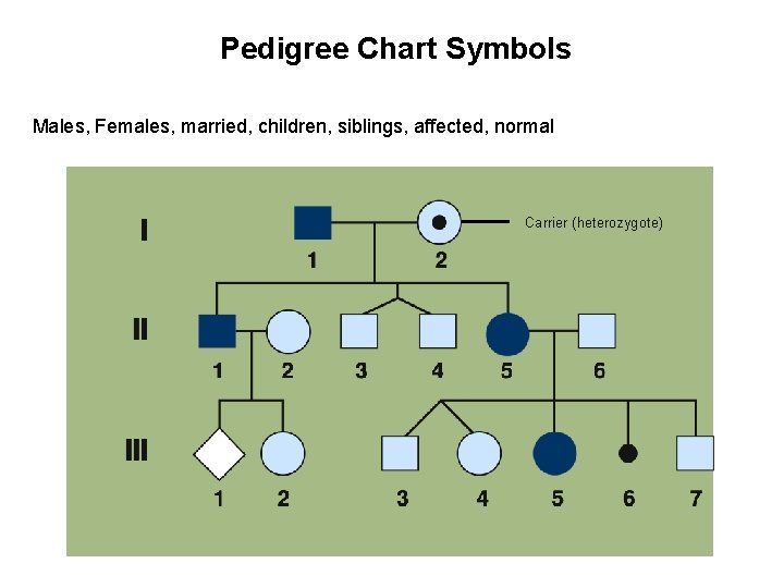 Pedigree Chart Symbols Males, Females, married, children, siblings, affected, normal Carrier (heterozygote) 