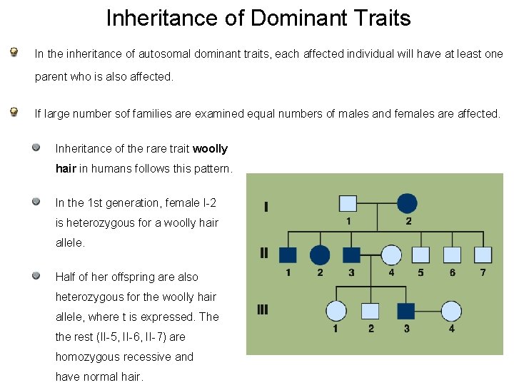 Inheritance of Dominant Traits In the inheritance of autosomal dominant traits, each affected individual