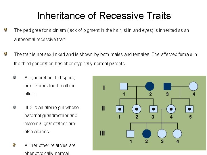 Inheritance of Recessive Traits The pedigree for albinism (lack of pigment in the hair,