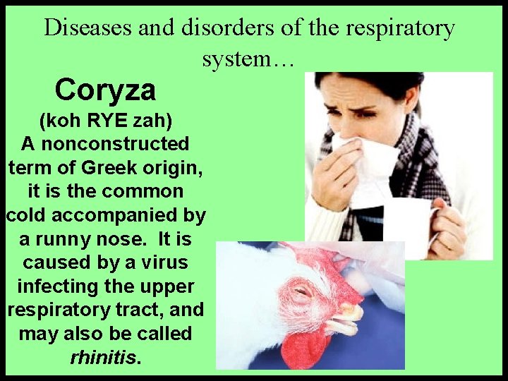 Diseases and disorders of the respiratory system… Coryza (koh RYE zah) A nonconstructed term