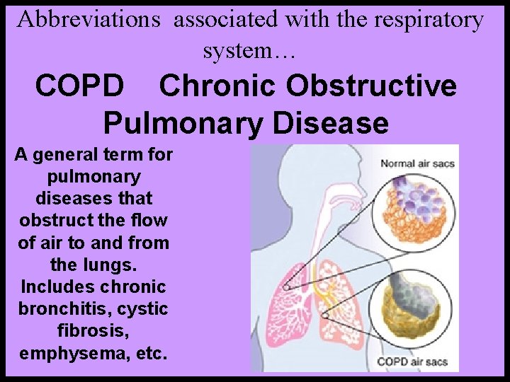 Abbreviations associated with the respiratory system… COPD Chronic Obstructive Pulmonary Disease A general term