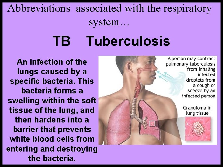 Abbreviations associated with the respiratory system… TB Tuberculosis An infection of the lungs caused