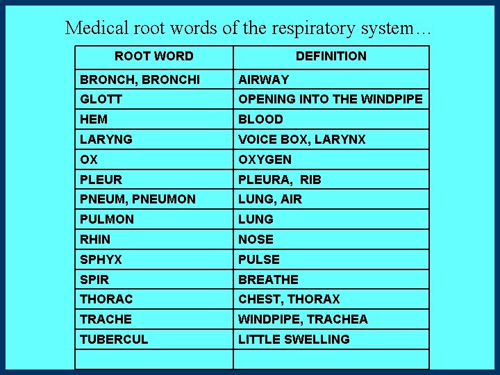 Medical root words of the respiratory system… ROOT WORD DEFINITION BRONCH, BRONCHI AIRWAY GLOTT