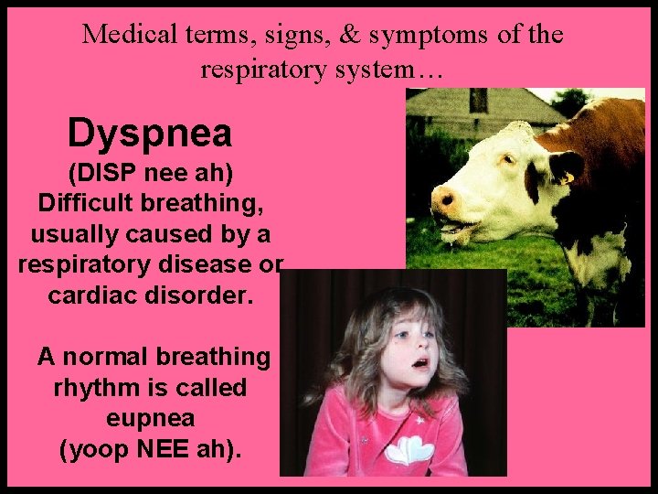 Medical terms, signs, & symptoms of the respiratory system… Dyspnea (DISP nee ah) Difficult