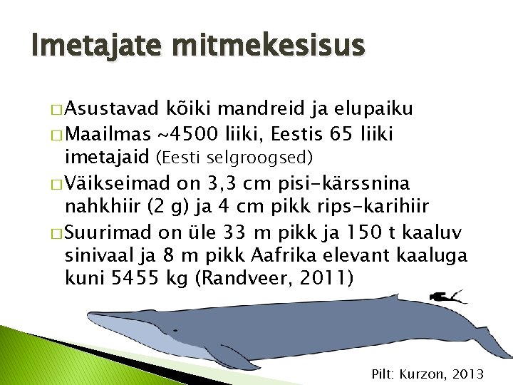 Imetajate mitmekesisus � Asustavad kõiki mandreid ja elupaiku � Maailmas ~4500 liiki, Eestis 65